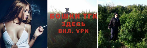сатива Абдулино