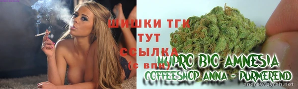 ешки Абинск