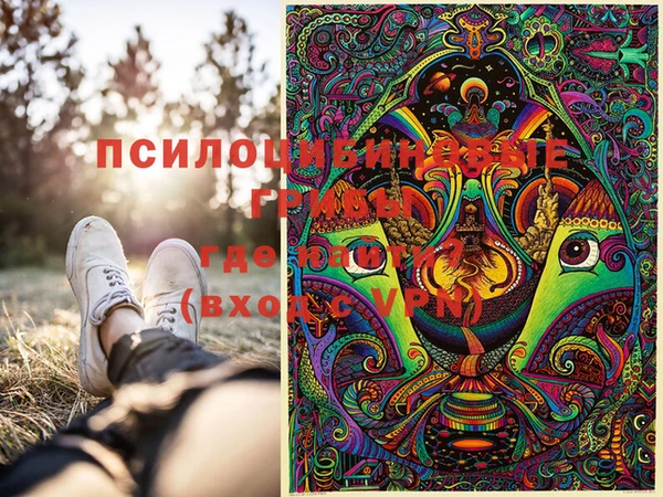 сатива Абдулино
