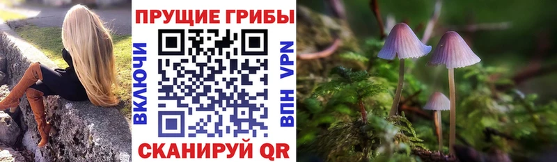 Псилоцибиновые грибы Magic Shrooms  Куртамыш 