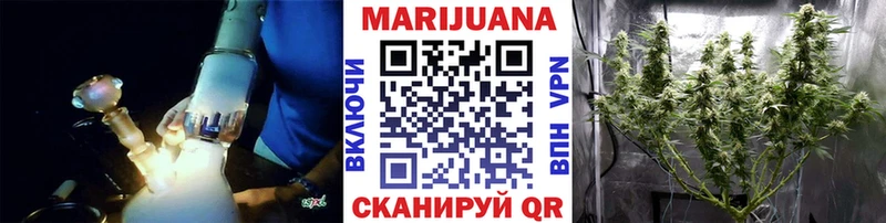 Шишки марихуана OG Kush Куртамыш